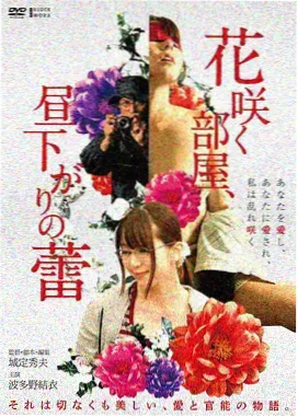 热播电影